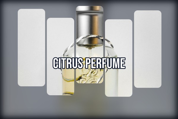 citrus perfume