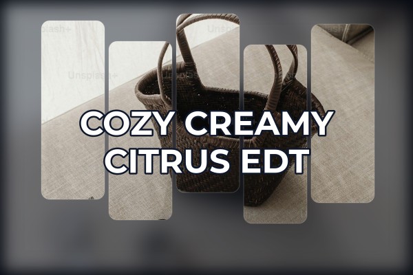 cozy creamy citrus edt