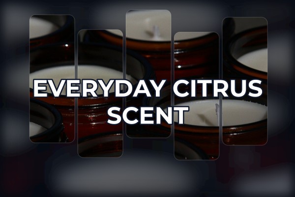 everyday citrus scent