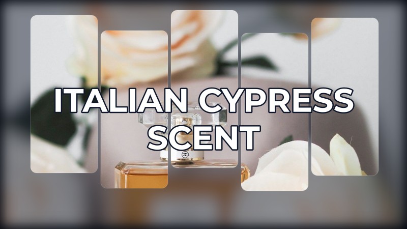 italian cypress scent